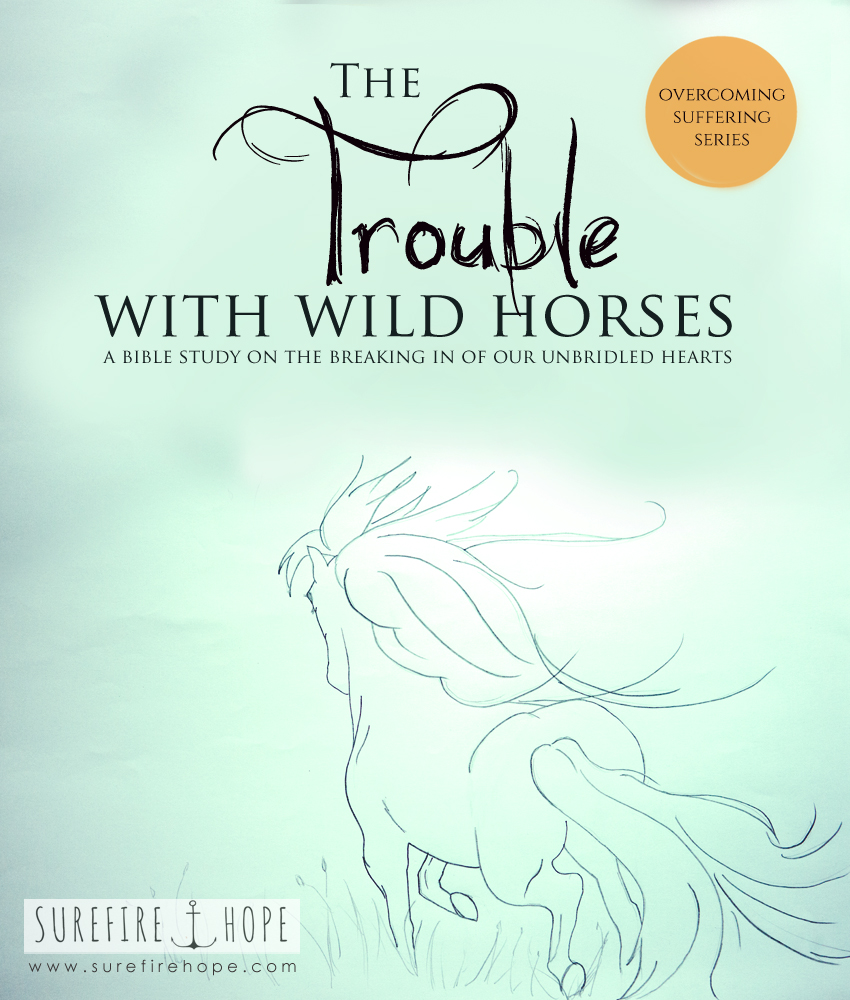 The Trouble with Wild Horses - the breaking in of our unbridled hearts - Surefire Hope Bible Study Blog - Overcoming Suffering Series